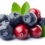 Arándanos